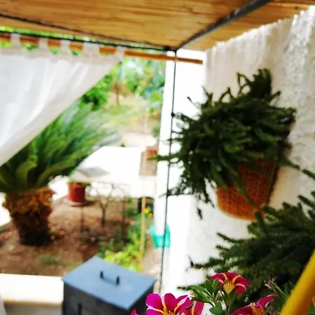 Nonna Lucia - Casa Vacanze