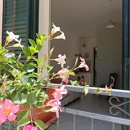 Appartement Nonna Lucia - Casa Vacanze