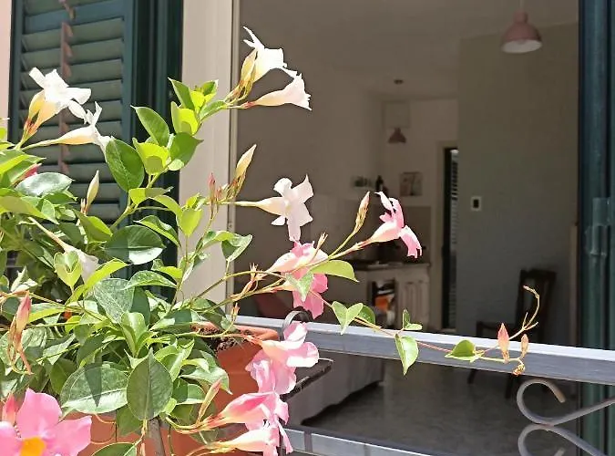 Apartamento Nonna Lucia - Casa Vacanze